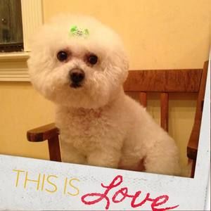 Meet your Posher, Marcela